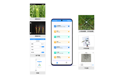 西咸新区小麦表型检测仪IN-XM04