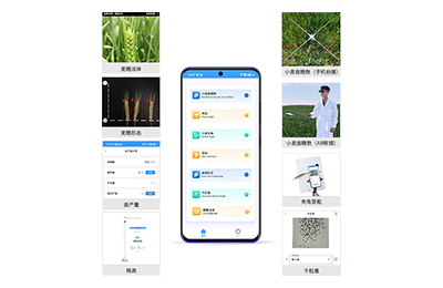西咸新区小麦表型测量仪IN-XM05